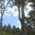 Pino de la Cadena (Valle de Siete Picos, Sierra de Guadarrama); ropa montaña material escalada visit